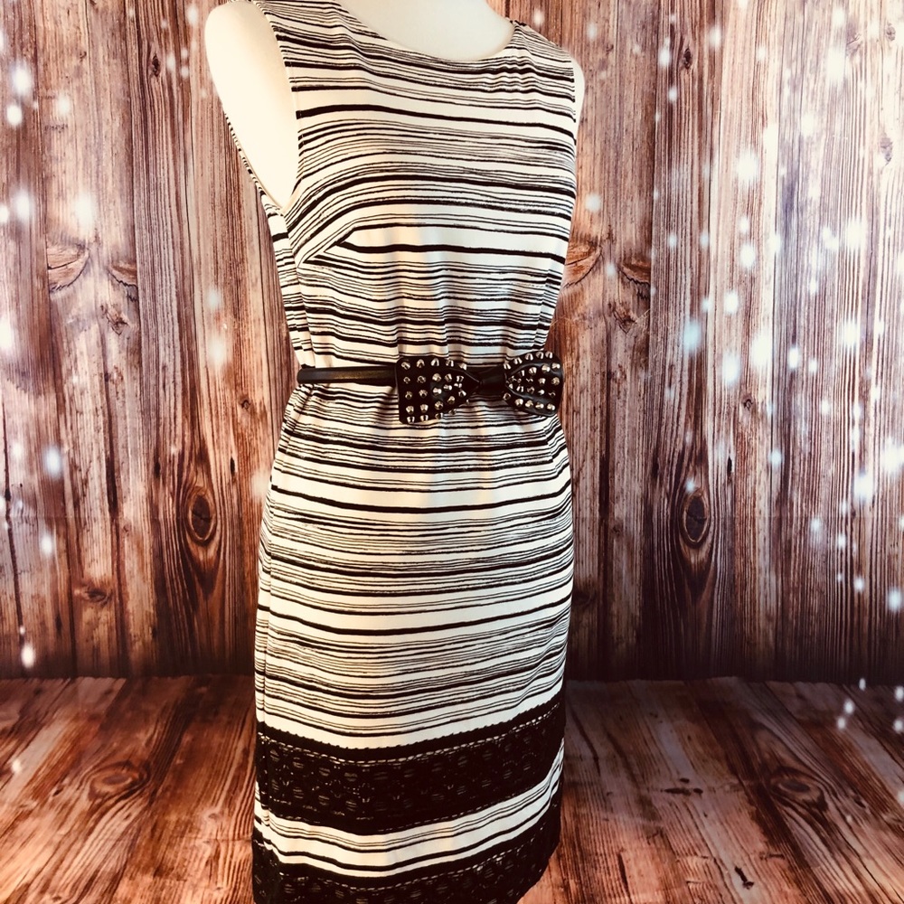 Ann Taylor Sleeveless Black & Cream Dress